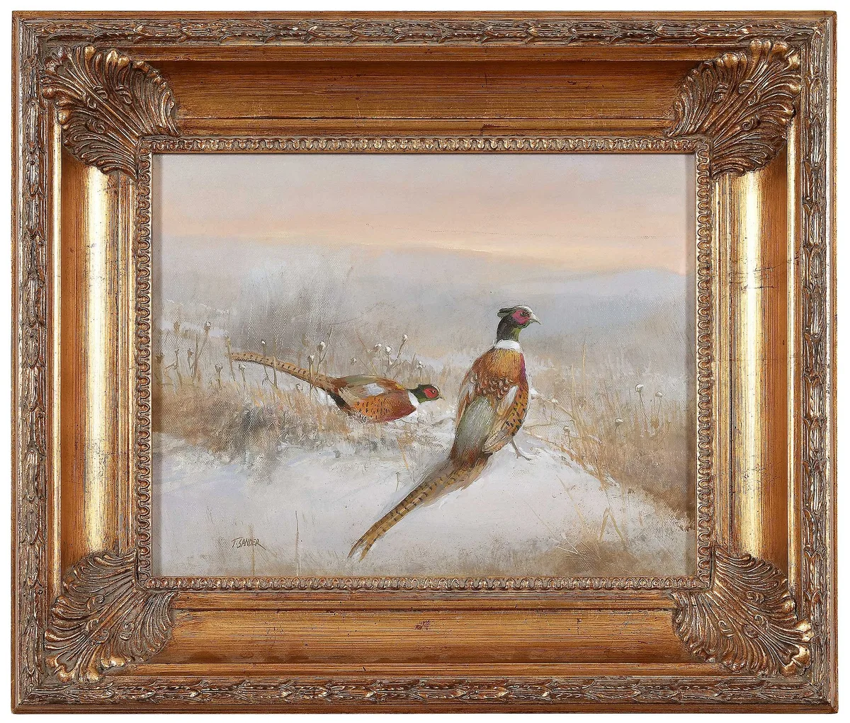 Tom Sander, Ring Necked Pheasants, oil on canvas
