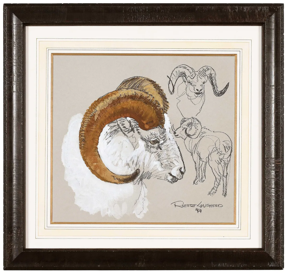 Robert Lougheed, Big Horn Sheep Study, gouache and charcoal on grey paper