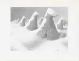 Grant Wood, January 1938