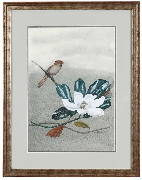 Edward Von Siebold Dingle, Cardinal with Magnolia Bloom, gouache on wove paper with J. Whatman watermark
