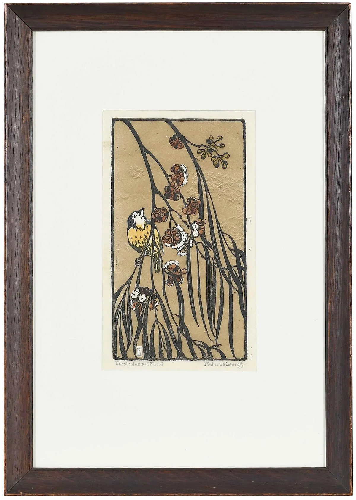 Pedro Joseph de Lemos, Eucalyptus and Bird, color woodcut
