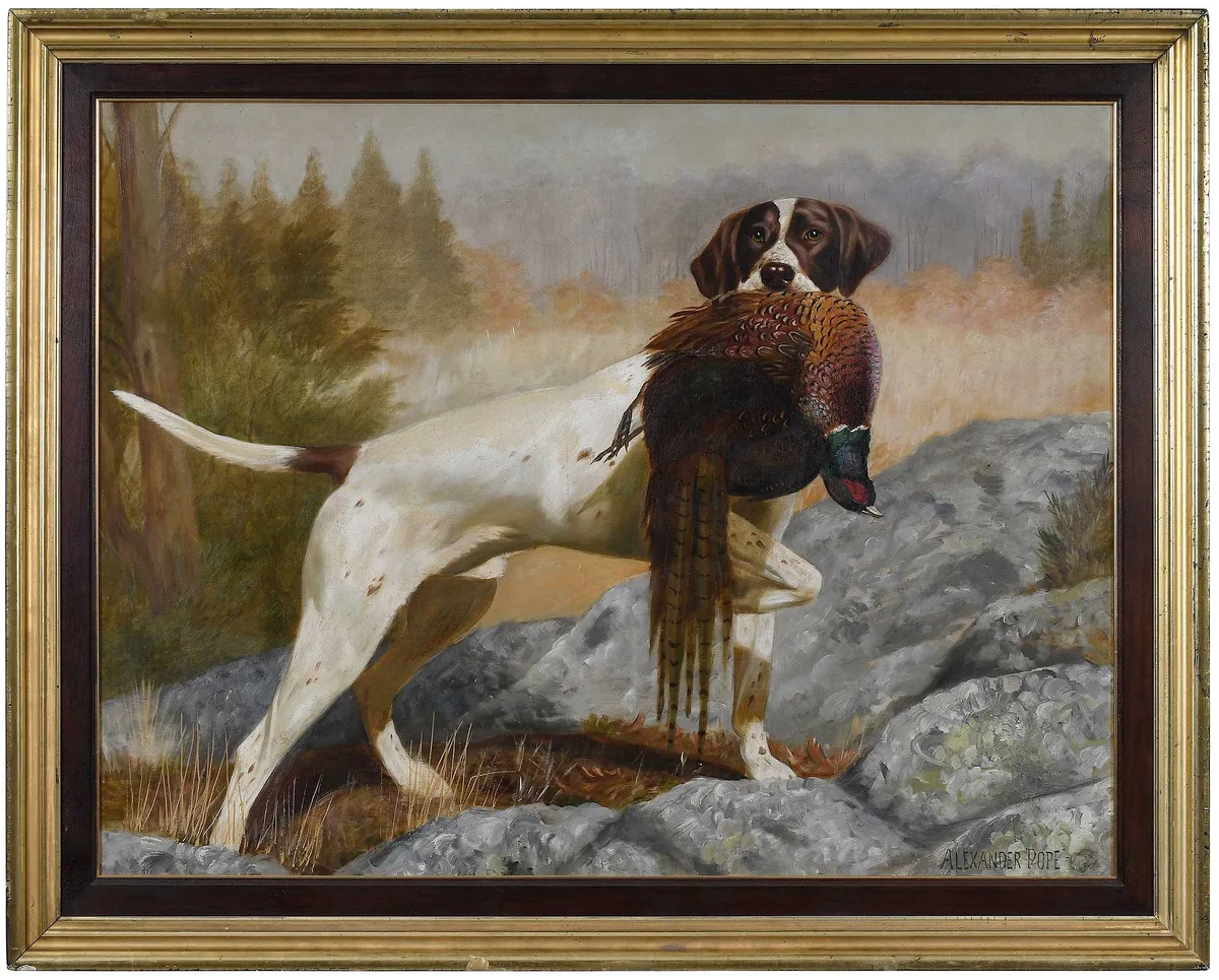Alexander Pope, Setter with Pheasant, oil on canvas