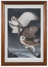John James Audubon, Barn Owl, Plate CLXXI from The Birds of America, Havell edition
