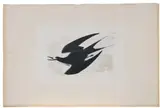 John James Audubon, Pl. CCXXXV, Sooty Tern, from The Birds of America, London