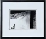 Barbara Morgan, Saeta: Ice on Window
