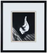 Barbara Morgan, City Shell Photomontage