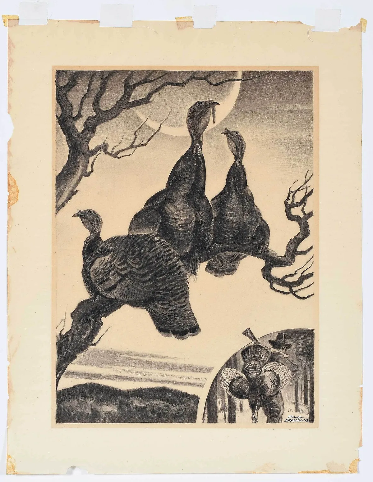Pilgrim Turkeys by Paul Bransom, charcoal on vellum, sold Nov 2022