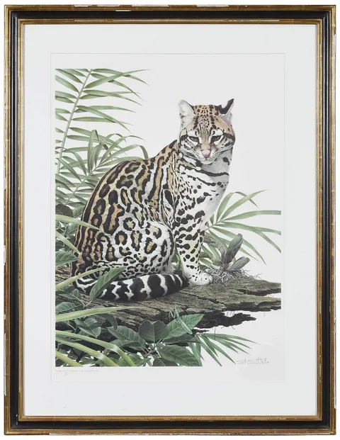 Ocelot by Axel Amuchástegui, offset lithograph, sold Nov 2022