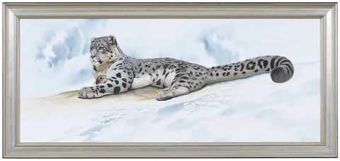Peter Schouten, Snow Leopard Uncia uncia, 2001, watercolor on paper