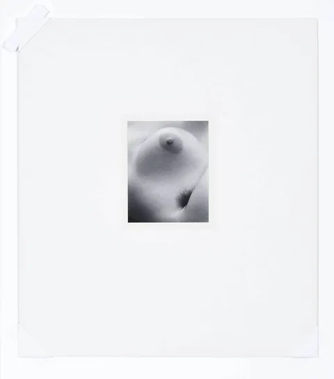 Edward Weston, Nude, 1935, gelatin silver print