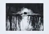 Paul Caponigro, Redding Stream, Redding, Connecticut