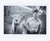 Garry Winogrand, Texas Boy with Sheep