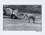Elliott Erwitt, Broken Down Truck with People and Horse