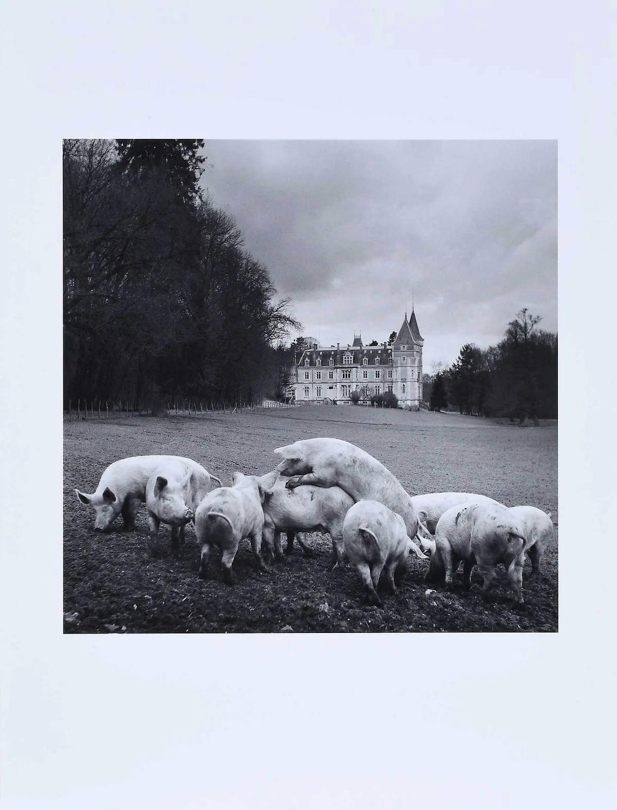 Philippe Salaün, La Vie De Chateau, 1973, gelatin silver print
