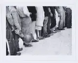 Marion Post Wolcott, Migrant Food Line