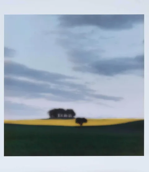 Tayside, Scotland by Lynn Geesaman, 1994, chromogenic print, sold Oct 2022