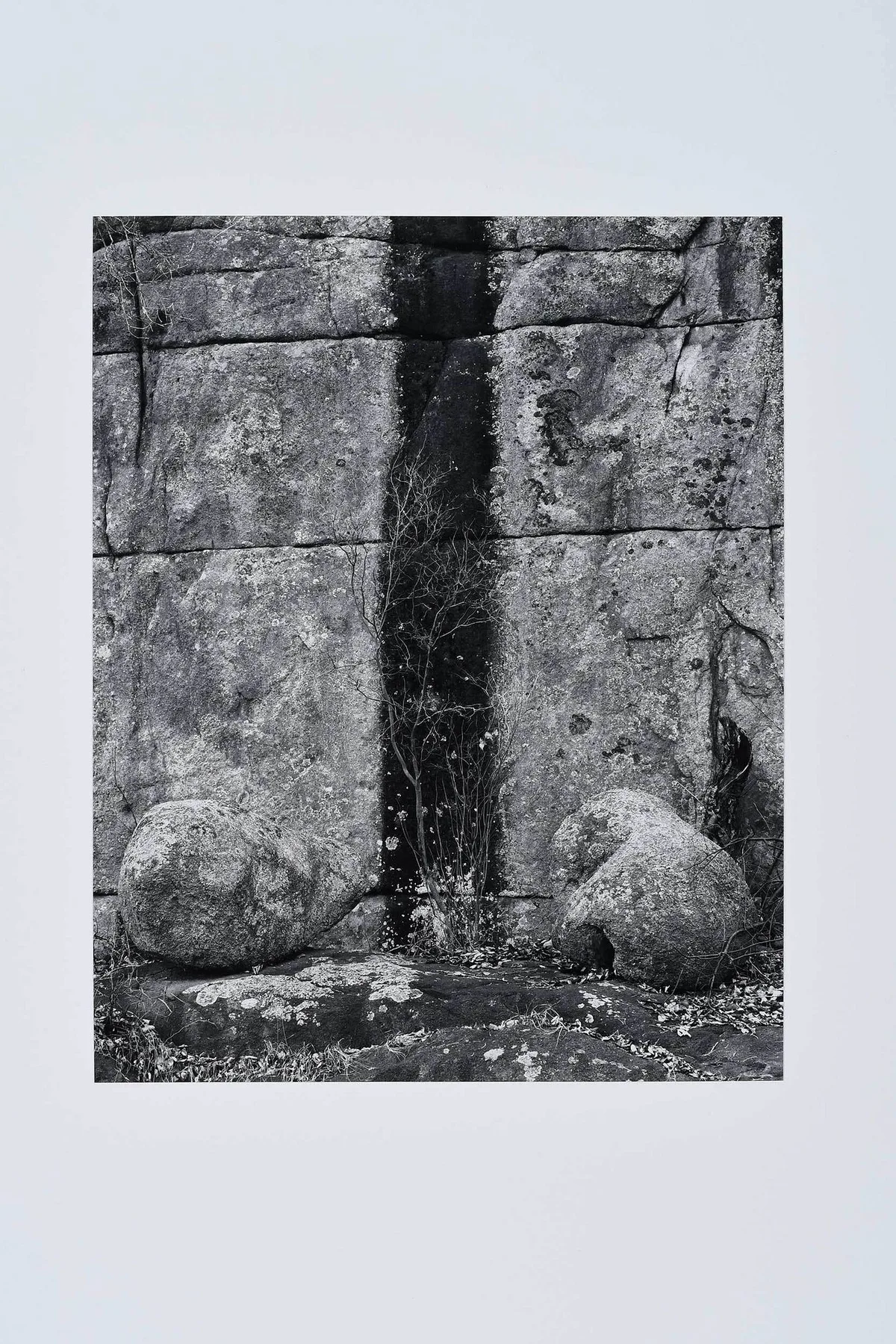 Jay Dusard, Arizona, 1971, gelatin silver print