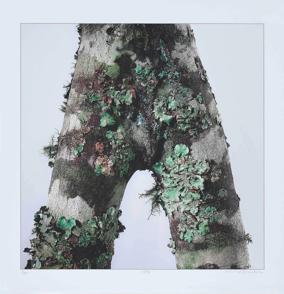 Bob Shaw, From Natures Private Parts, 2012, pigment print on Somerset rag paper