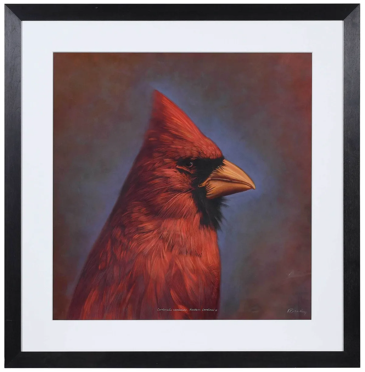 Kate Breakey, Cardinalis cardinalis, Northern Cardinal III, 1998/2000, gelatin silver print with oil paint and colored pencils