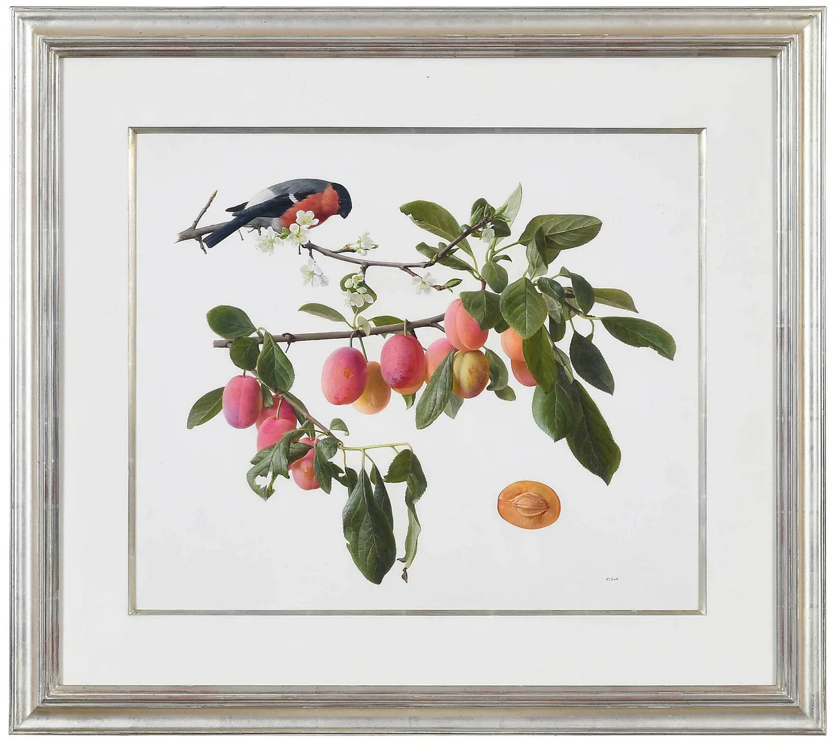 Raymond C. Booth, Bullfinch on a Peach Branch, oil on paper