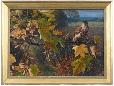 Raymond C. Booth, Thrush in On Maple Branch, 1979, oil on Masonite