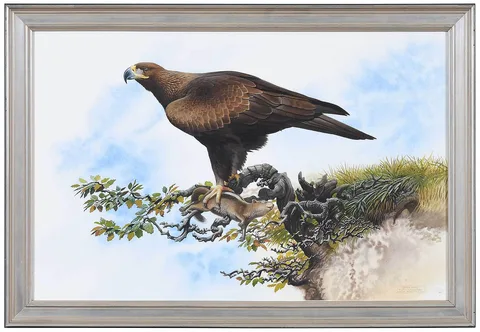 Golden Eagle Aquila chrysaetos by Peter Schouten, 2001, watercolor on paper, offered Sep 2022