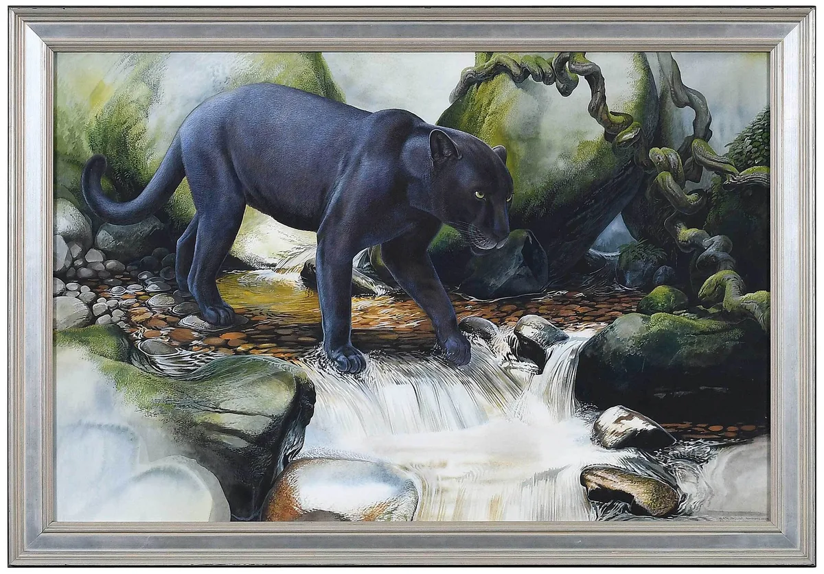 Peter Schouten, Black Jaguar Panthera onca, 2001, watercolor on paper