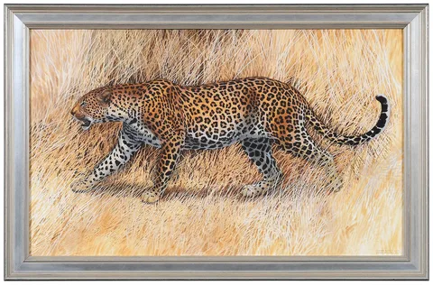Peter Schouten, Leopard Pantheris pardus, watercolor and gouache on Arches paper