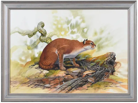 Peter Schouten, African Golden Cat Profelis aurata, 2001, watercolor and gouache on Arches paper