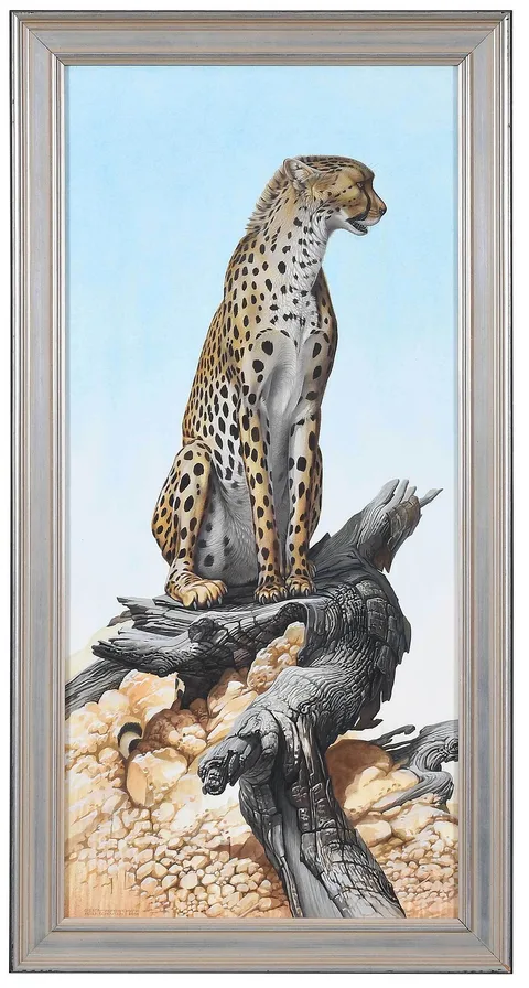Peter Schouten, Cheetah Acinonyx jubatus, 2001, watercolor on paper
