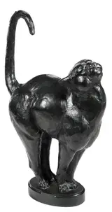 Dan Ostermiller, Cat