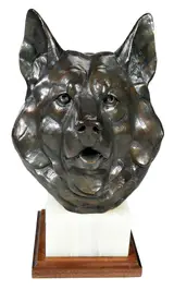 Dan Ostermiller, Elkhound Portrait