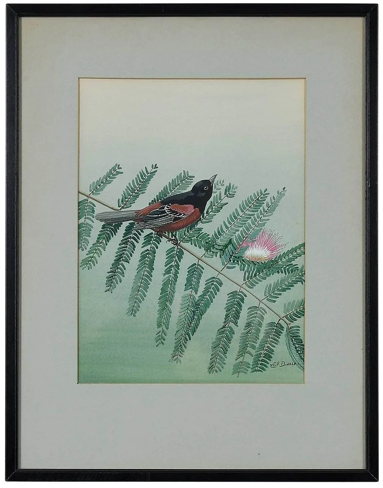 Orchard Oriole by Edward Von Siebold Dingle, watercolor and gouache on artist board, sold Mar 2022