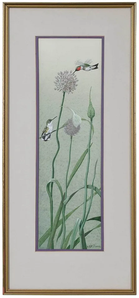 Edward Von Siebold Dingle, Ruby Throated Hummingbird with Wild Garlic, watercolor and gouache on artist board