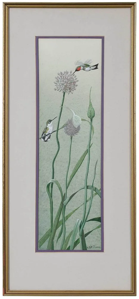Edward Von Siebold Dingle, Ruby Throated Hummingbird with Wild Garlic, watercolor and gouache on artist board