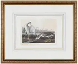 John James Audubon, Godwit or Snipe, Plate CCCVIII, from The Birds of America, London