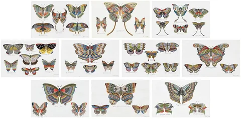 Giuseppe Ferrarini, Group of ten finely drawn whimsical and fictitious butterflies and moths, ink and watercolor
