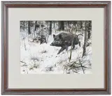 Rodger McPhail, Wild Boar in a Snowy Woodland