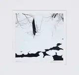 George Tice, Winter Stream