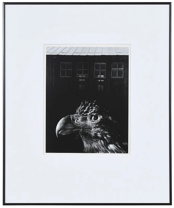 Bless this Home and Eagle by Jerry Uelsmann, 1962, gelatin silver print, sold Apr 2021