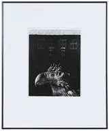 Jerry Uelsmann, Bless this Home and Eagle