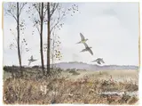 David Hagerbaumer, Pheasants in Flight
