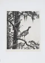 Aiden Lassell Ripley, Wild Turkeys