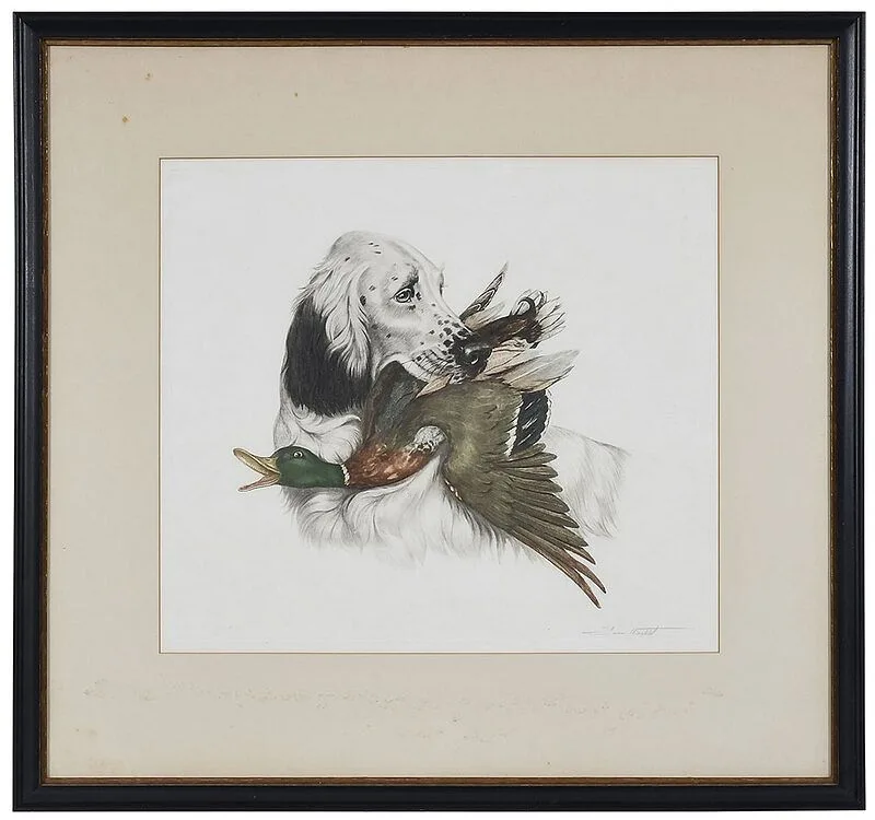 Setter and  Duck by Jean Herblet, color engraving, offered Apr 2021
