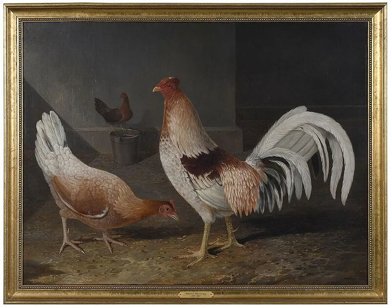 John Frederick Herring, Sr., Red Pyle Old English Bantam Rooster with Two Hens in a Barn, oil on canvas
