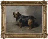 John Emms, A Terrier, Torrie