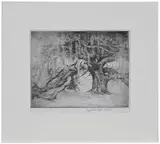 Elizabeth O'Neill Verner, Angel Oak