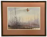 David Hagerbaumer, American Woodcock
