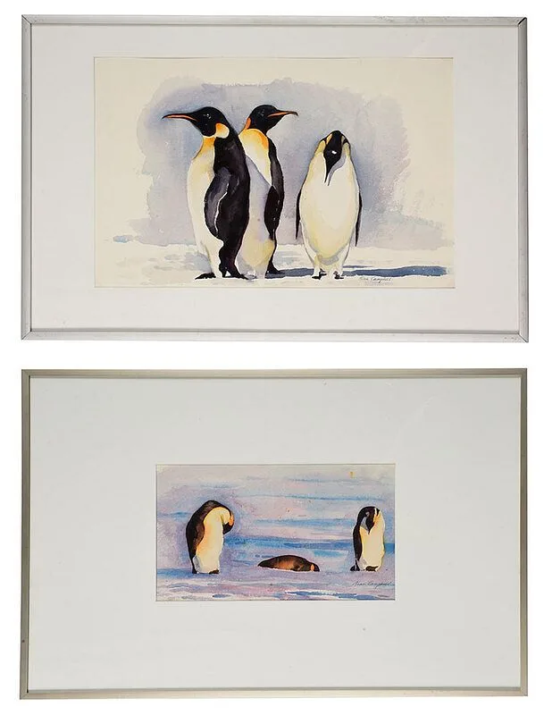 Alan Campbell, Two paintings of penguins: Emperors, 1988, watercolor on Arches paper