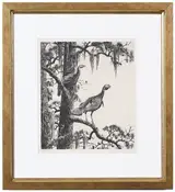 Aiden Lassell Ripley, Wild Turkeys